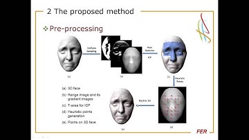 Fully Automatic 3D Facial Expression Recognition using Local Depth Features