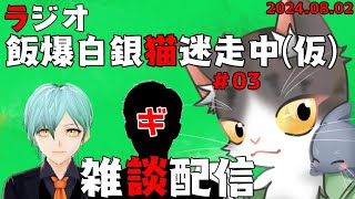 ラジオ 飯爆白銀猫迷走中第3回！【雑談配信】