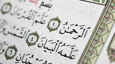 سورة الرحمن للحافظ وليد ابراهيم (جودة عالية)