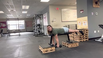 Iso Chest Supported DB Row - Flat Bench