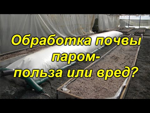 Видео: Почему обработка почвы вредна для почвы?