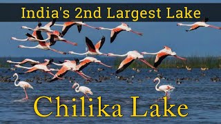 Chilika Lake Odisha | India's 2nd Largest Lake | Odisha Tourism