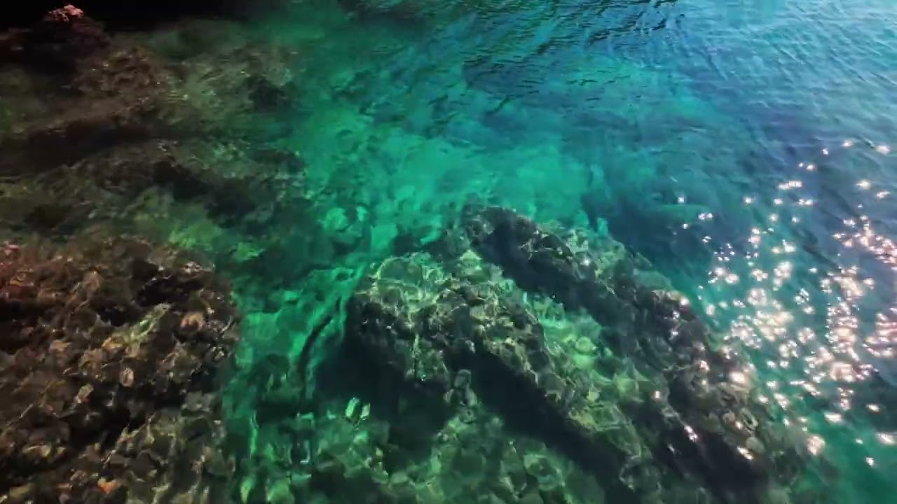 Season 9 - Episode 4 — Action Without Internal Dialogue