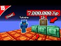 Jai farmer 7000000 xp en 1h sur paladium   paladium v95 ep 15