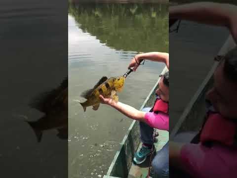Tucunaré Grande - Tapiraí SP parte 2