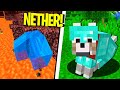 15 BUG MAI RISOLTI SU MINECRAFT   ITA