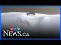 Snow Blocking Vents Clear It To Avoid Carbon Monoxide Risk