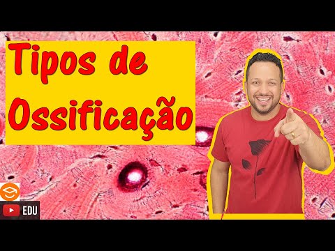 Vídeo: Qual tecido forma o modelo para a ossificação endocondral?