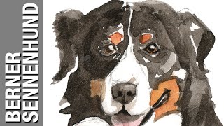 Bernese Mountain Dog by Mo Nimo 5 views 3 years ago 21 seconds