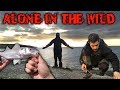 3 Days Alone in the Wilderness - Fishing, Bushcraft & Foraging for Wild Food