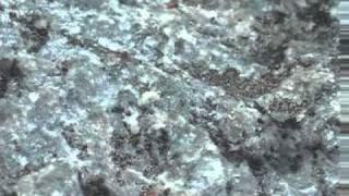 DIORITE