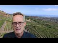Tasty Expectations Cantine Nicosia Lenza Di Munti Etna Rosso 2018 Tasty Expectations Cantine Nicosia Lenza Di Munti Etna Rosso 2018