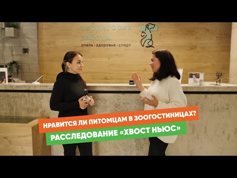 видео: Спецрасследование «Хвост Ньюс»: как выглядят зоогостиницы и зачем там фитнес-зал и бассейн