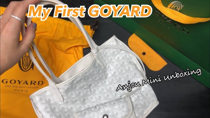 I finally added the Goyard Mini Anjou to my collection! My first