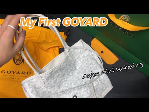 unboxing a goyard anjou mini bag 💙 love that its reversible and