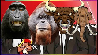 BABOON \& ORANG UTAN \& BULL \& MAMMOTH (ANIMALS COVER) - Coffin Dance X Baby Shark COVER