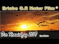 Fischland-Darß-Zingst - Prerow- Kranichzug 2019 Vreden - Naturfilm - nature film