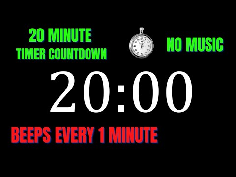 20 Minute Workout Countdown Timer With 1 Minute Interval Beeps | No Music
