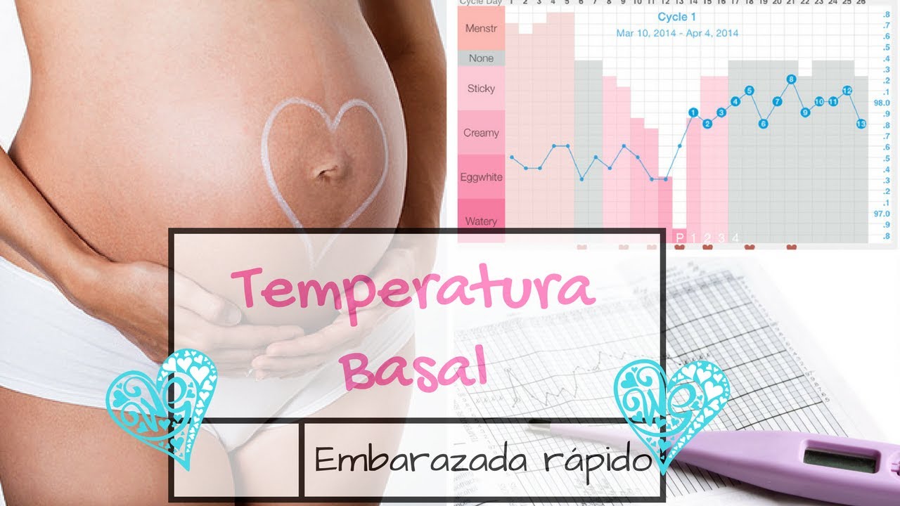 temperatura corporal en el embarazo temperatura corporal en el embarazo