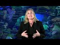 Why do corals fluoresce – and will it save them? | Dr. Ann Money | TEDxTulsaCC