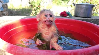 Oh no, Bi Monkey has a strange disease...