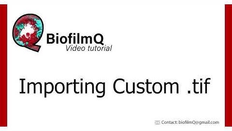 BiofilmQ Tutorials - 1.3.2 Import custom TIF files