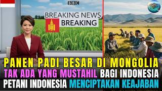 Download Lagu Setelah 40 tahun kegagalan di Mongolia, Indonesia berhasil panen padi hanya dalam 4 bulan MP3