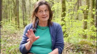 Artist Profile - Lizzie Godden