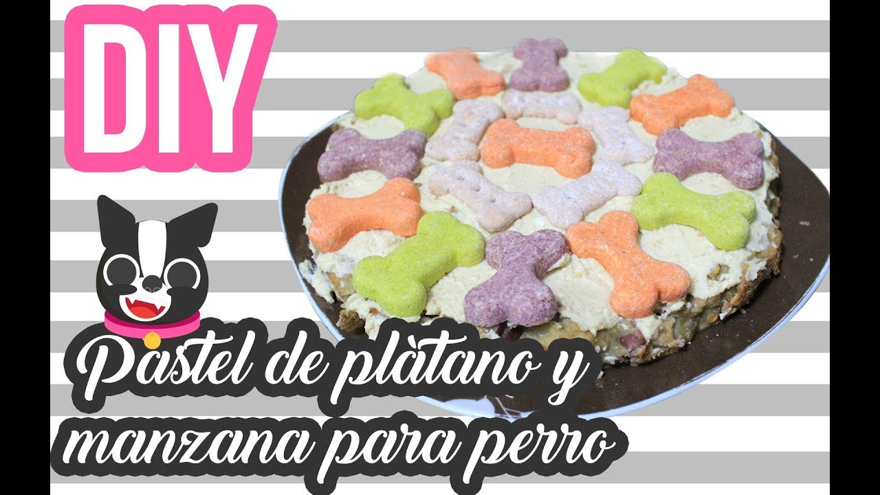 RECETA l Pastel fácil para perro de manzana y plátano