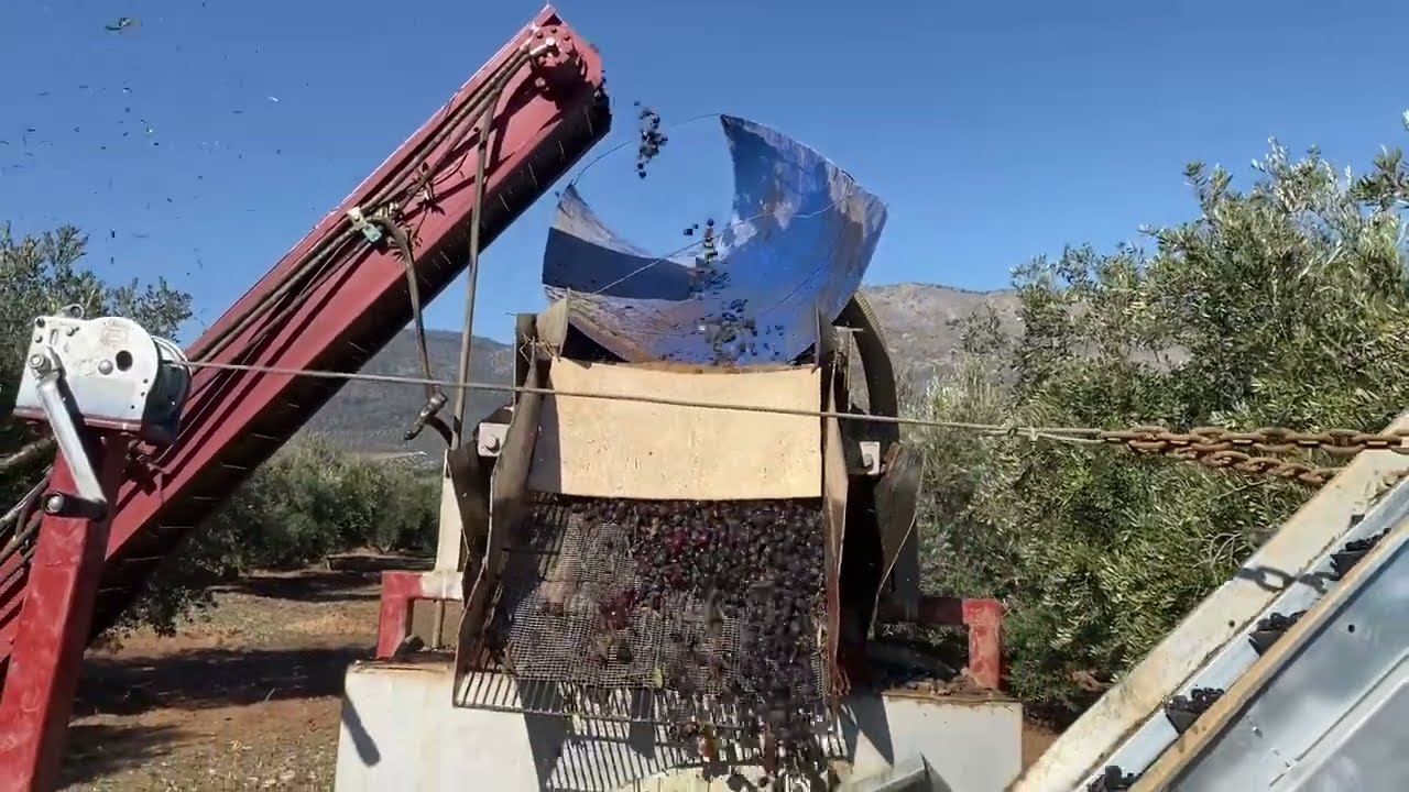 eoloe - 159 - 07/02/2025 - Equipo portátil de limpiado y lavado de aceitunas - Olivar.