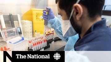 Omicron more transmissible but milder than delta variant, initial research suggests