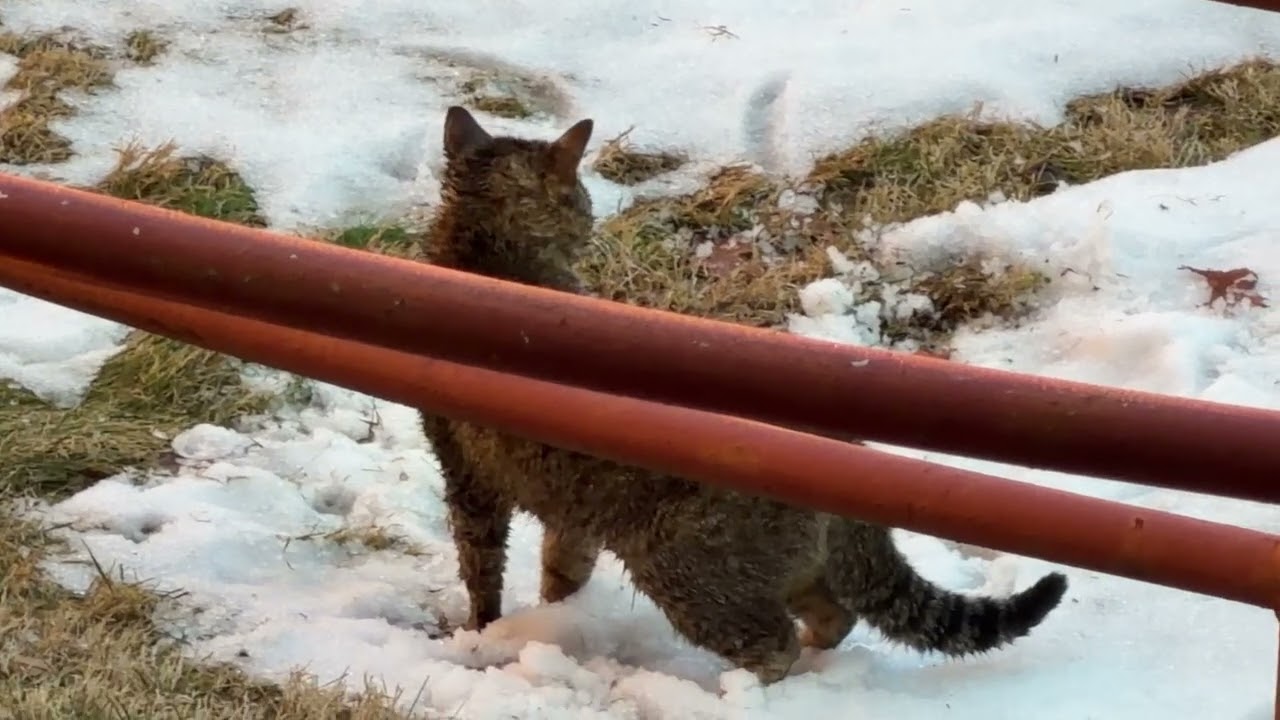 Close up by iPhone 17 pro