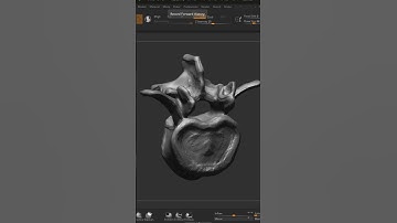 Lumbar Vertibrae Zbrush Sculpt Timelapse.