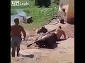 Heavy man trying to get on a horse