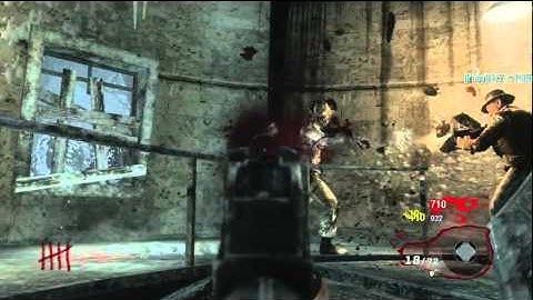 nightfox119 first attempt on call of the dead part 1