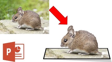 Turning 2D Pictures Into 3D Pictures on PowerPoint