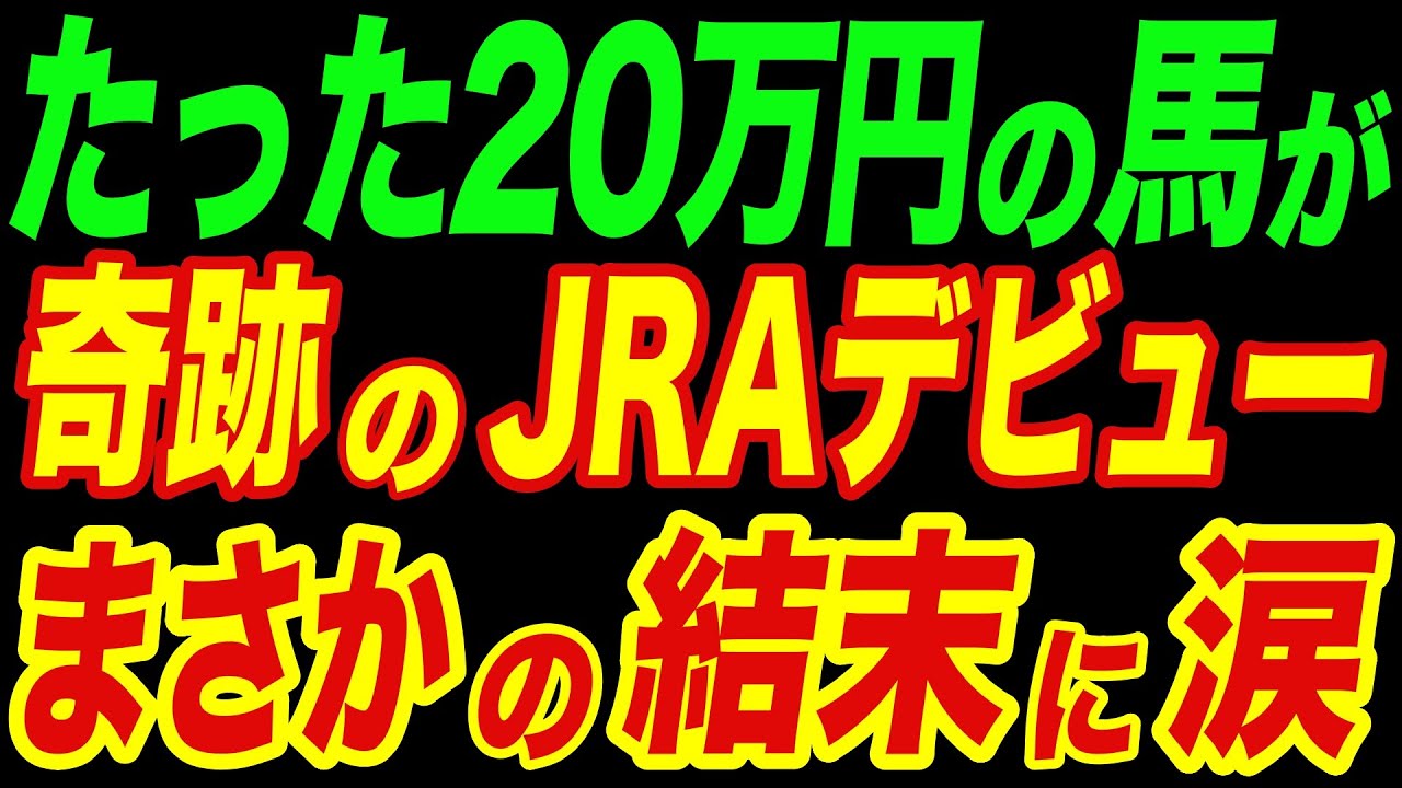 【奇跡】たった20万円の馬が41戦完走！まさかの結末に涙
