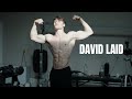 Gym hardstyle  david laid aesthetic motivational edit