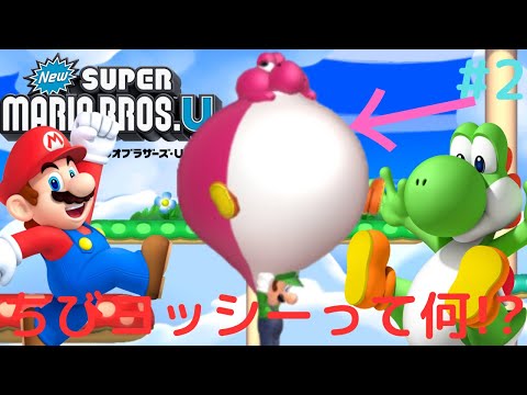 ヨッシーとちびヨッシーの違いとは!?W1を完全攻略したい!!New