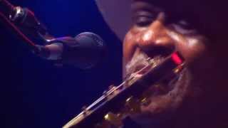 Taj Mahal "Checking on my Baby" 9/5/15 HD