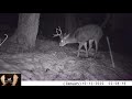 Watch What Hit This Trail Camera