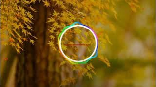 ab tum hi ho dj remix ringtone