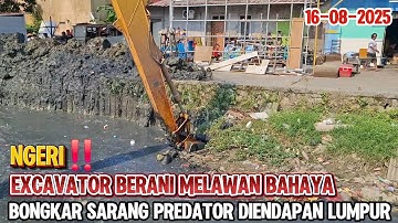 NGERI‼️EXCAVATOR BERANI MELAWAN BAHAYA BONGKAR SARANG PREDATOR DIENDAPAN LUMPUR KALI KARANG SATRIA