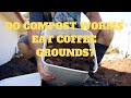 Do Compost Worms Eat Coffee Grounds Nutritious or Dangerous? (Morning Pick Me Up)