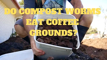 Do coffee grounds kill worms?