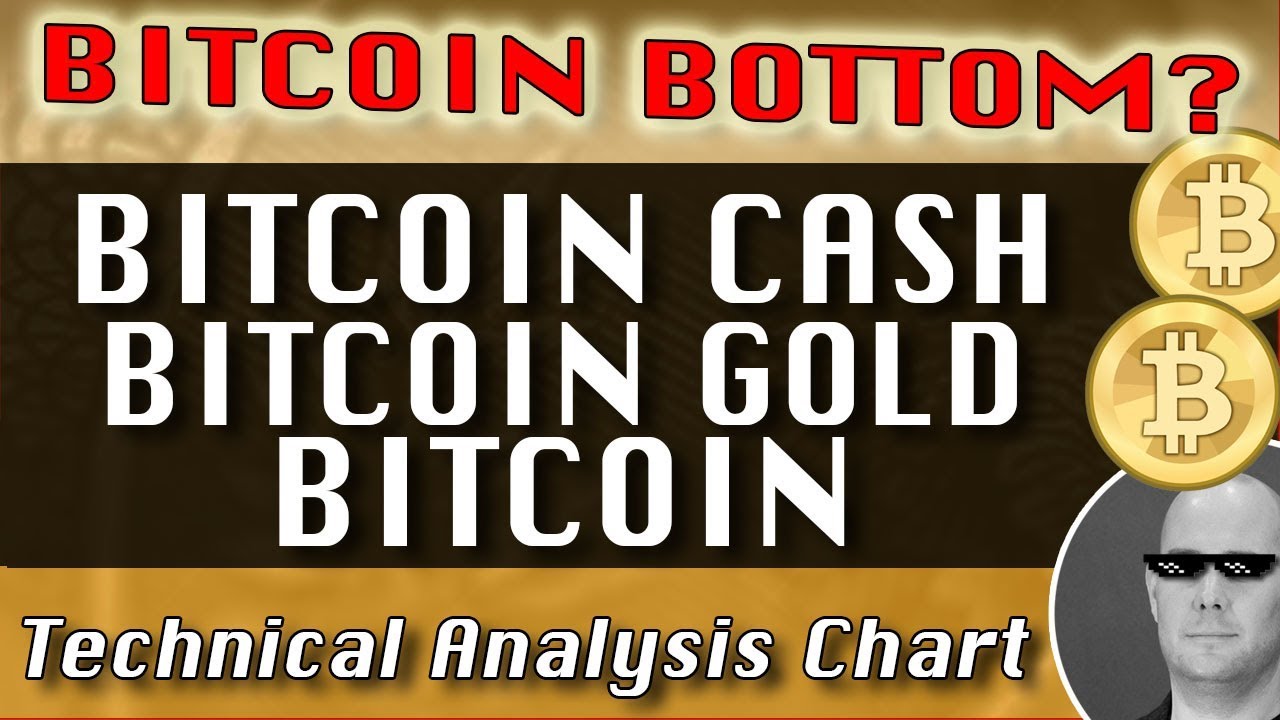 whats bitcoins bottom