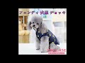 ペット服 犬パーカー ジャケット シュプリーム LV GUCCI