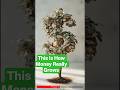 This Is How Money Really Grows
