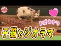 子猫とジオラマ〜Cats came to this store for the first time!