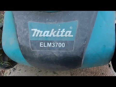 Видео на YouTube
